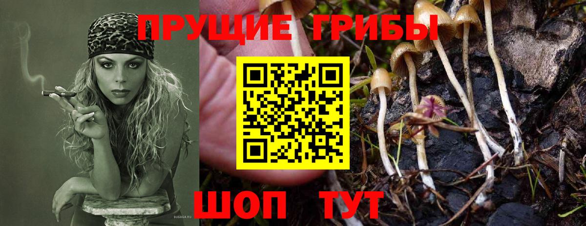 Псилоцибиновые грибы Cubensis Белебей